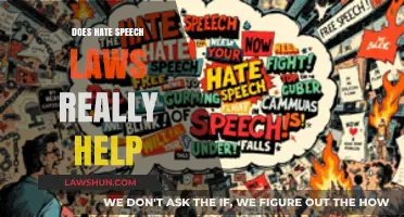 Examining the Impact of Hate Speech Laws: A Critical Analysis