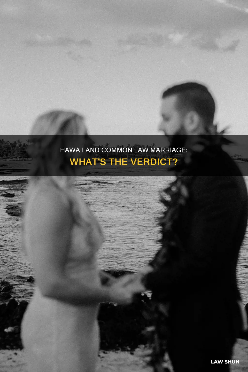 does hawaii have common law marriage