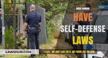 Understanding Hawaii's Self-Defense Laws: A Comprehensive Guide