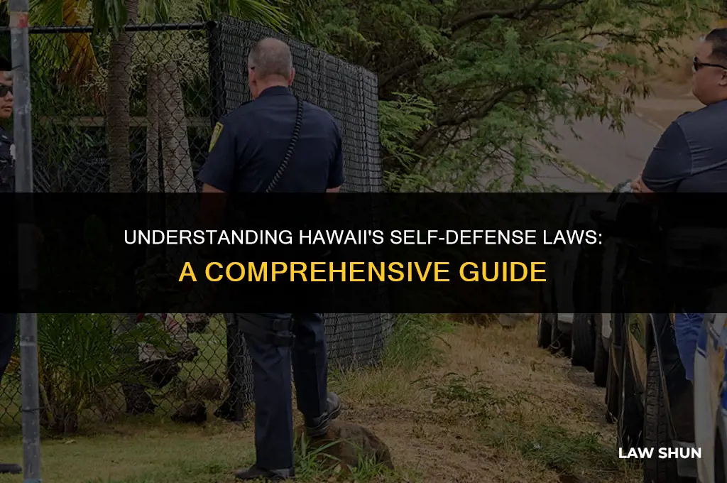 does hawaii have self-defense laws