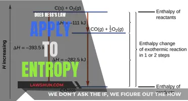 Understanding Hess's Law: Entropy Application Explored