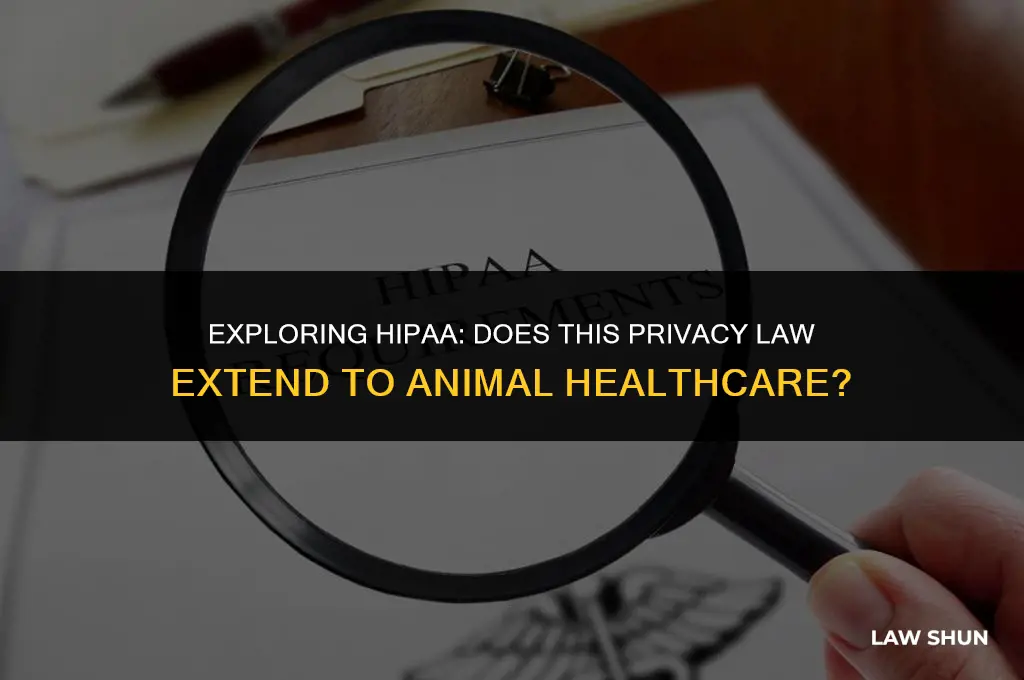 does hippa laws pertain to animals