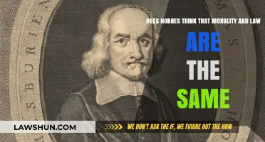Hobbes' View: Are Morality and Law Identical Concepts?