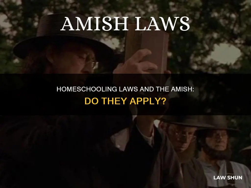 does homeschooling laws apply to amish