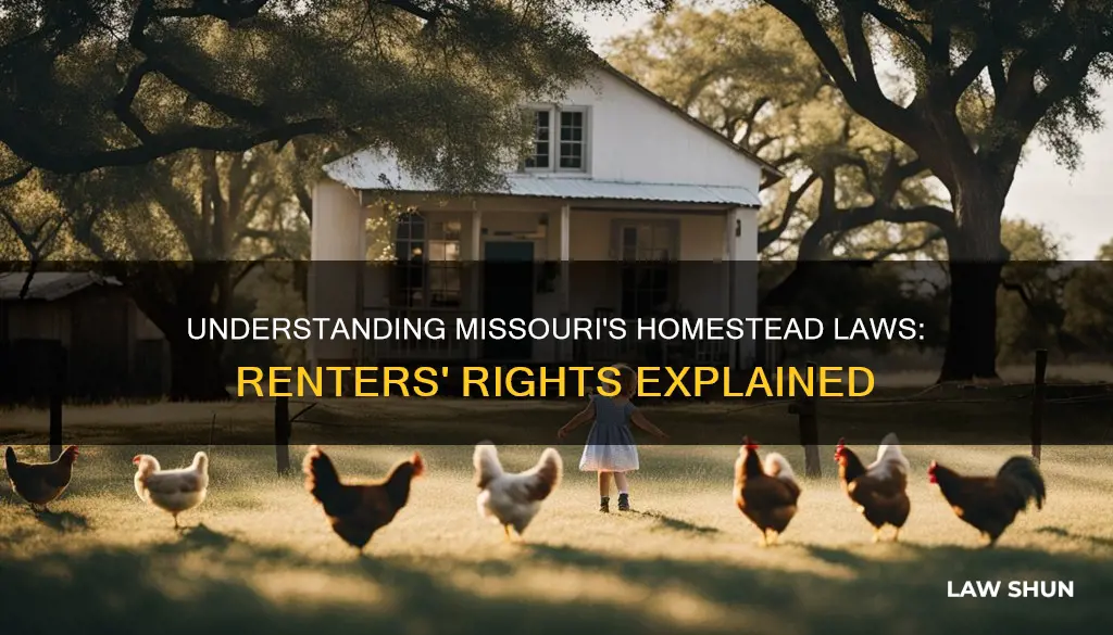 does homestead laws missouri apply to renters