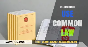 Hong Kong's Legal System: Common Law Influence