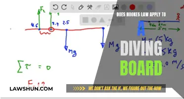 Hooke's Law: Diving Board Dynamics Explained