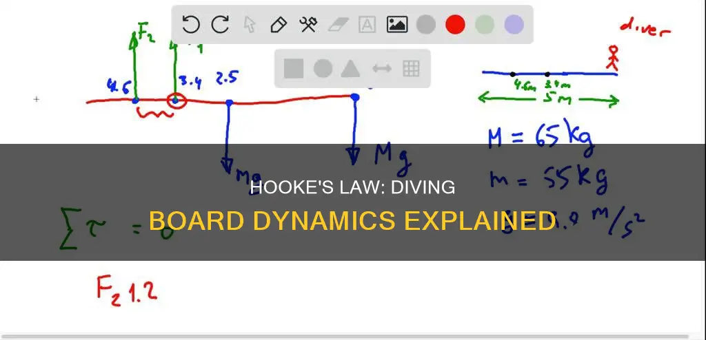 does hookes law apply to a diving board