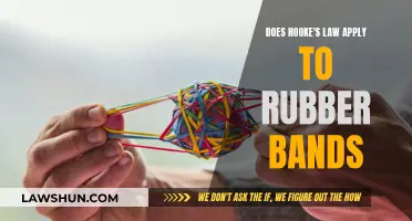 Understanding Hooke's Law: Rubber Bands' Elastic Behavior