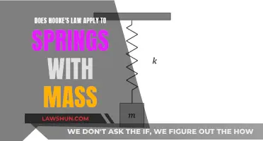 Understanding Hooke's Law: Springs with Mass