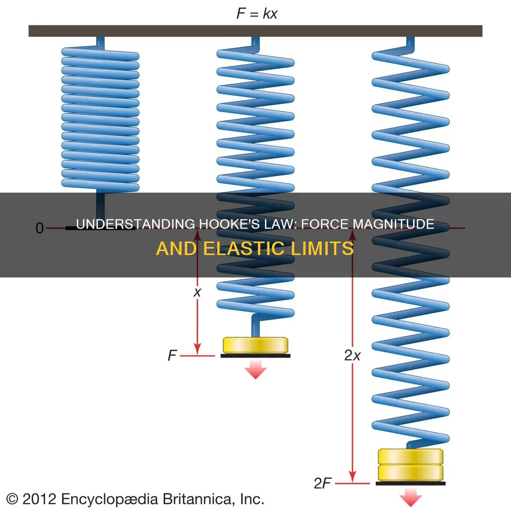 does hookes law hold for all magnitudes of applied force