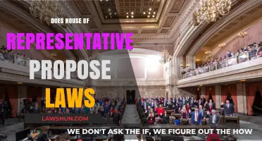The Role of the House of Representatives in Lawmaking: A Comprehensive Guide