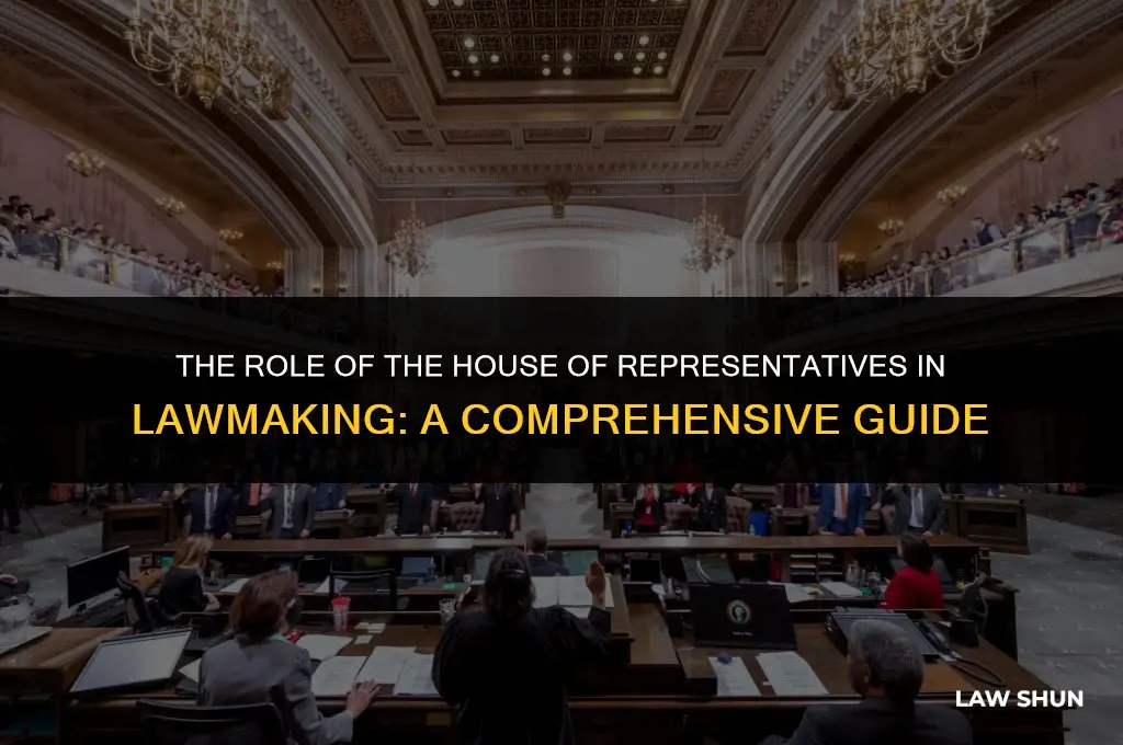 does house of representatives propose laws