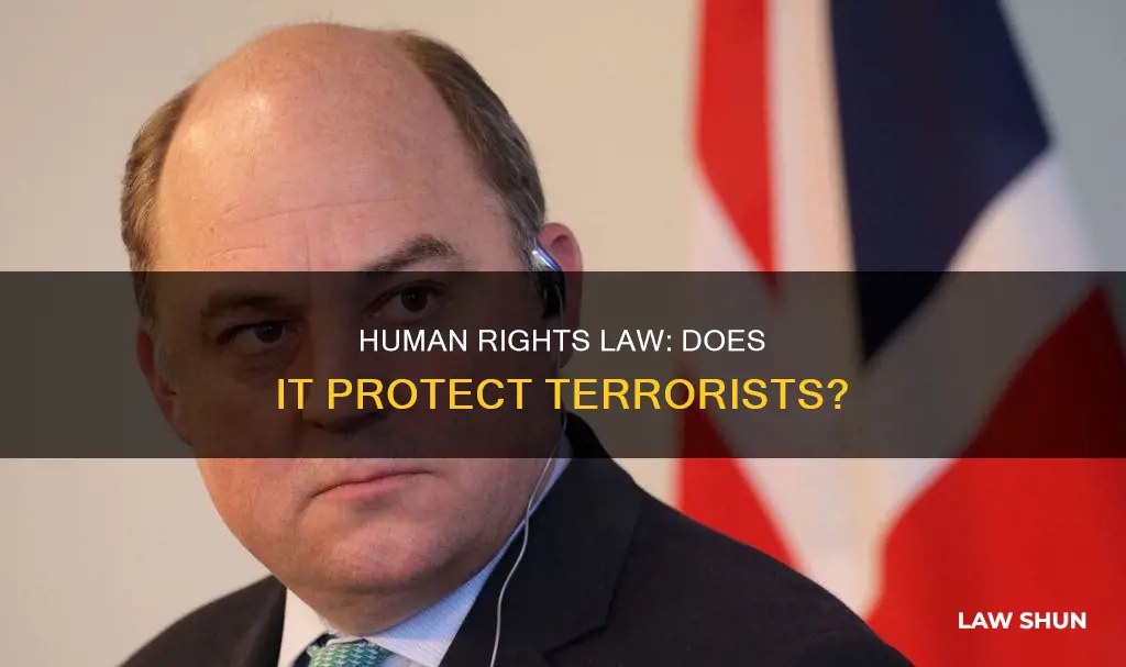 does human rights law apply to terrorists