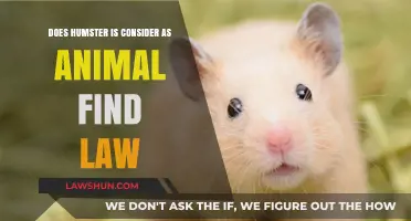Is a Hamster Legally Classified as an Animal? Exploring the Law