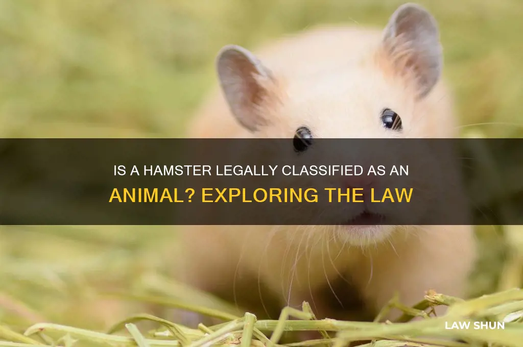 does humster is consider as animal find law