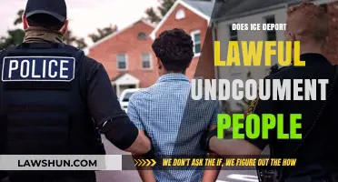 Does ICE Deport Lawful Undocumented Immigrants? Facts and Analysis