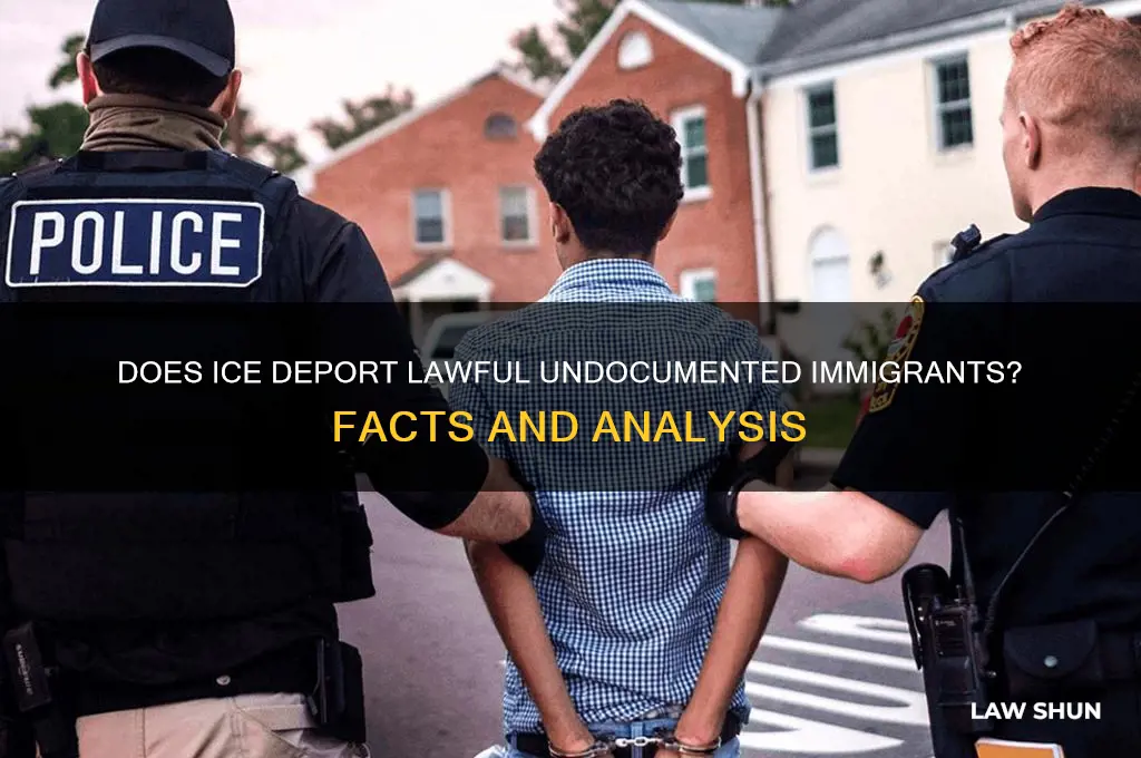 does ice deport lawful undcoumented people