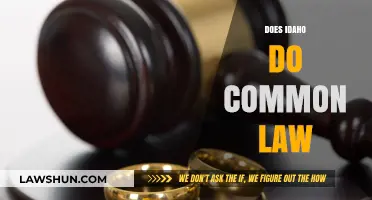 Idaho's Take on Common Law Marriages