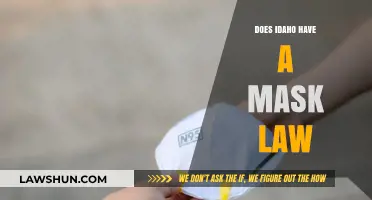 Idaho's Stance on Mask Laws: A Comprehensive Overview