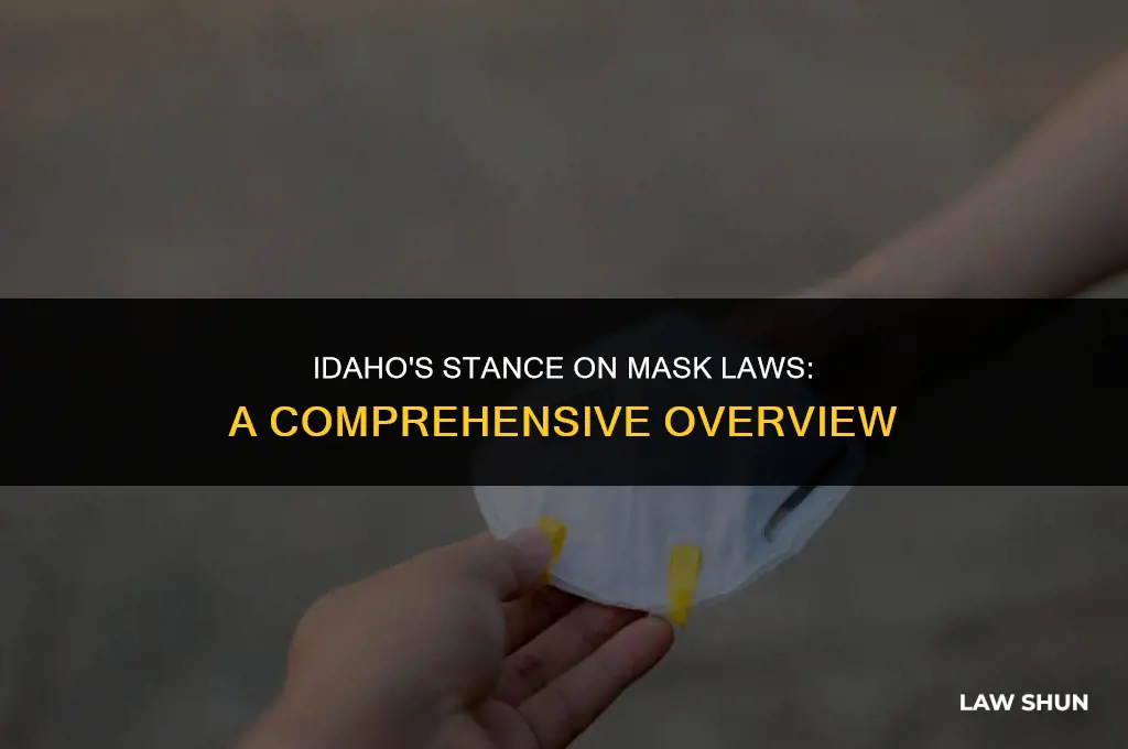 does idaho have a mask law