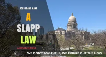 Understanding Idaho's Legal Landscape: The Absence of SLAPP Laws
