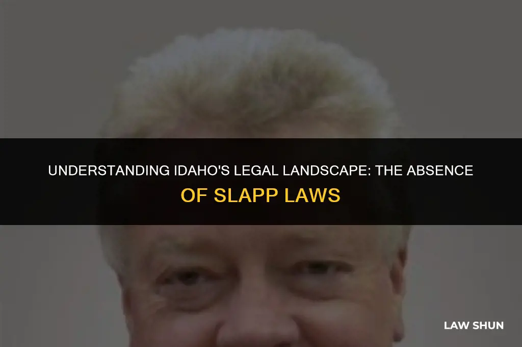 does idaho have a slapp law
