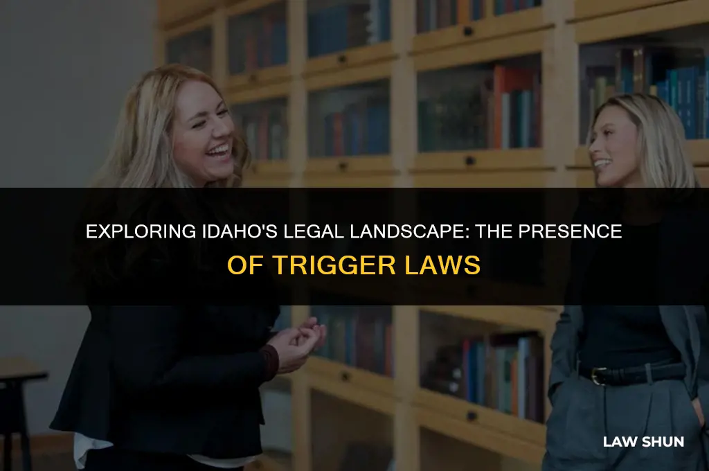 does idaho have a trigger law
