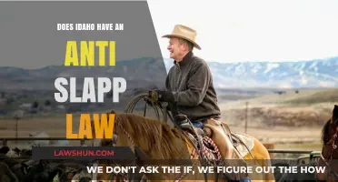 Idaho's Anti-SLAPP Law: What's the Deal?