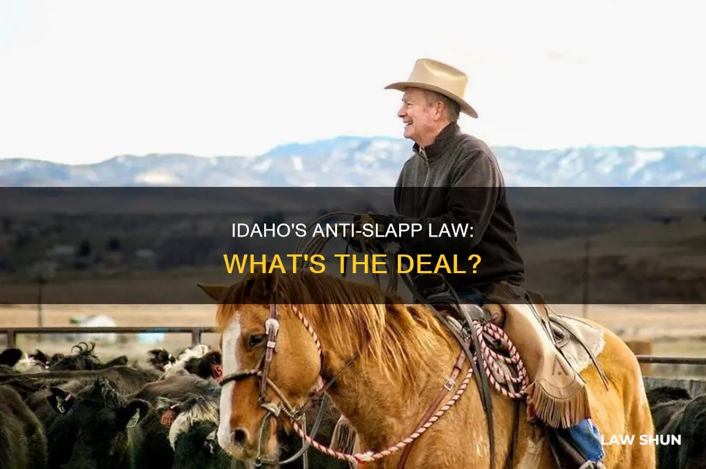 does idaho have an anti slapp law