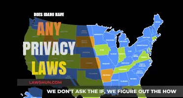 Exploring Idaho's Privacy Laws: What You Need to Know