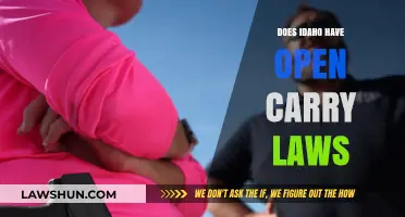 Idaho's Open Carry Laws: What You Need to Know
