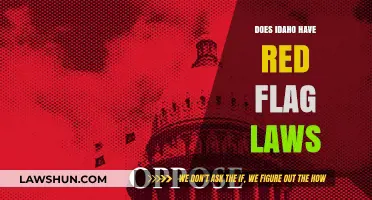 Understanding Idaho's Stance on Red Flag Laws: A Comprehensive Guide