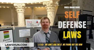 Understanding Idaho's Self-Defense Laws: A Comprehensive Guide