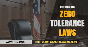 Understanding Idaho's Stance on Zero Tolerance Laws