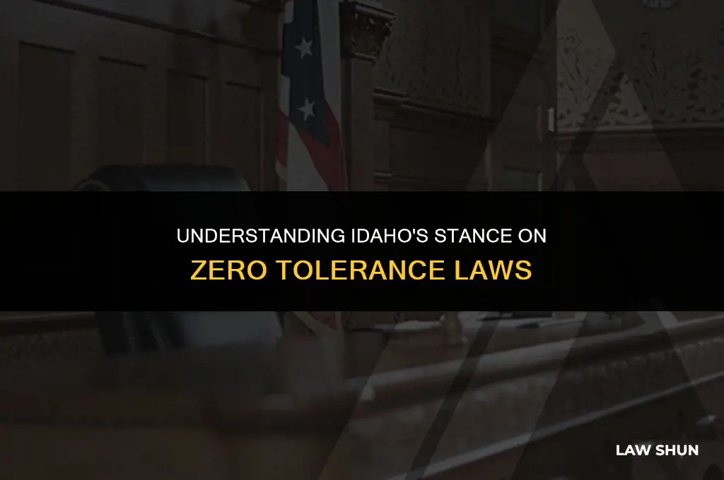 does idaho have zero tolerance laws