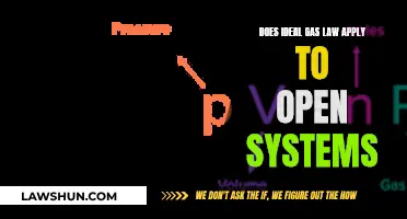 The Applicability of Ideal Gas Laws in Open Systems