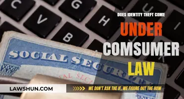 Identity Theft and Consumer Law: Understanding Your Legal Protections