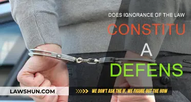 Ignorance of the Law: A Valid Defense?