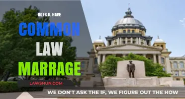 Illinois Common Law Marriage: What's the Verdict?