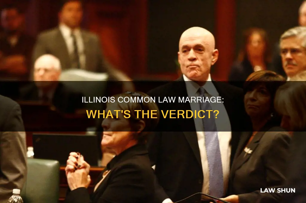 does il have common law marrage