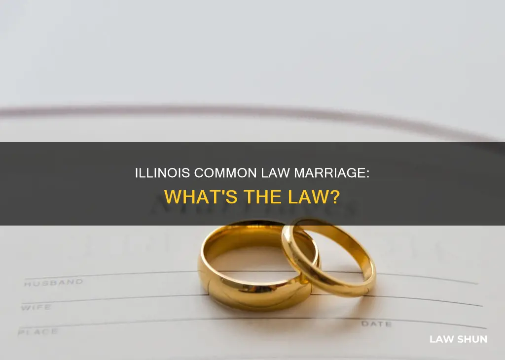 does il have common law marriage