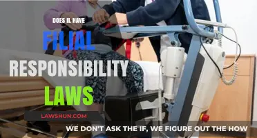 Understanding Filial Responsibility Laws in Illinois: A Comprehensive Guide