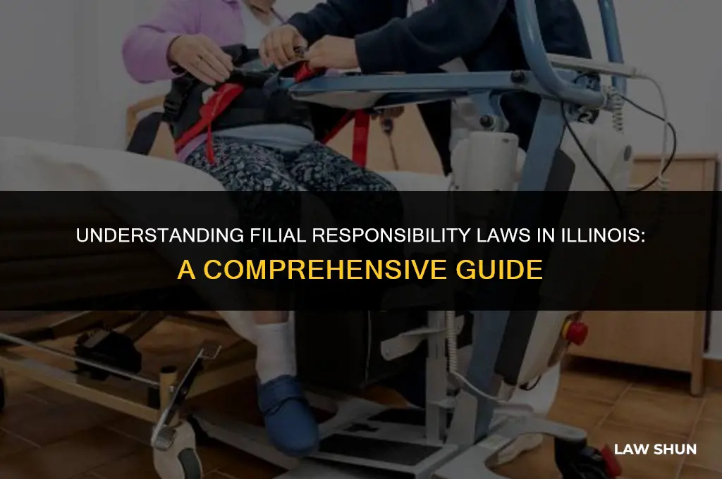 does il have filial responsibility laws