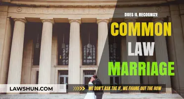 Illinois Common Law Marriage: Legally Recognized?
