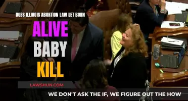 Illinois Abortion Law: Killing Born-Alive Babies?