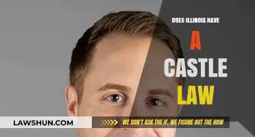 Understanding Illinois' Castle Law: Your Right to Self-Defense at Home