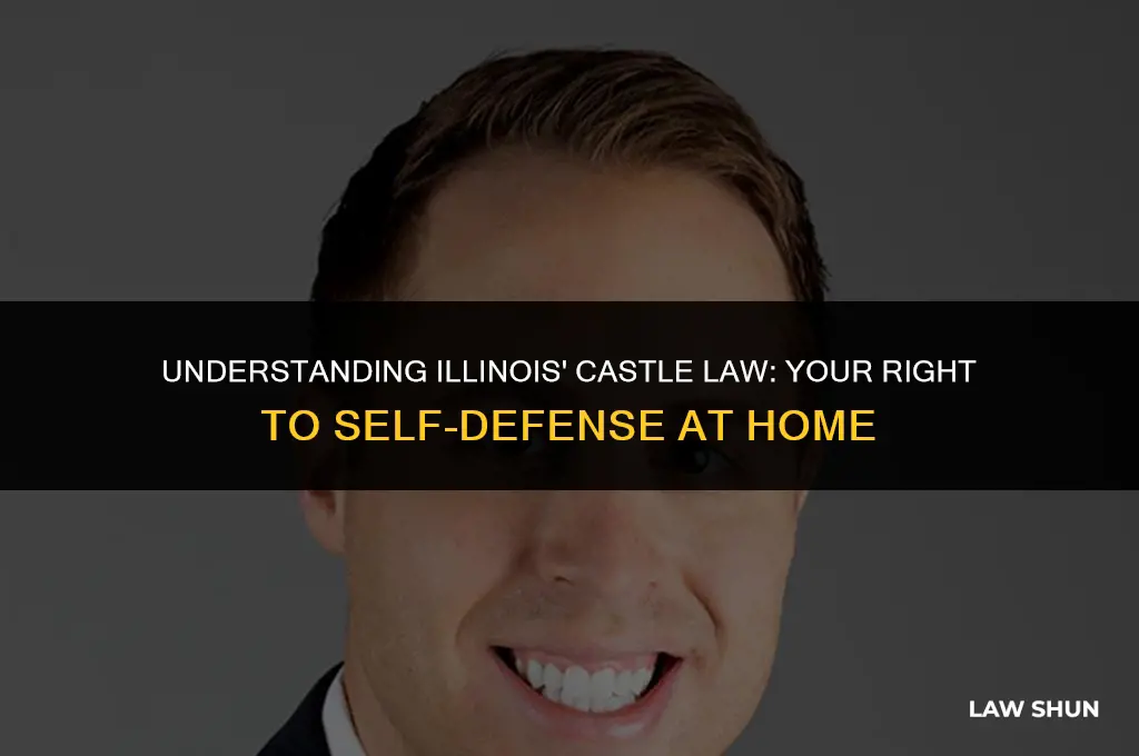 does illinois have a castle law