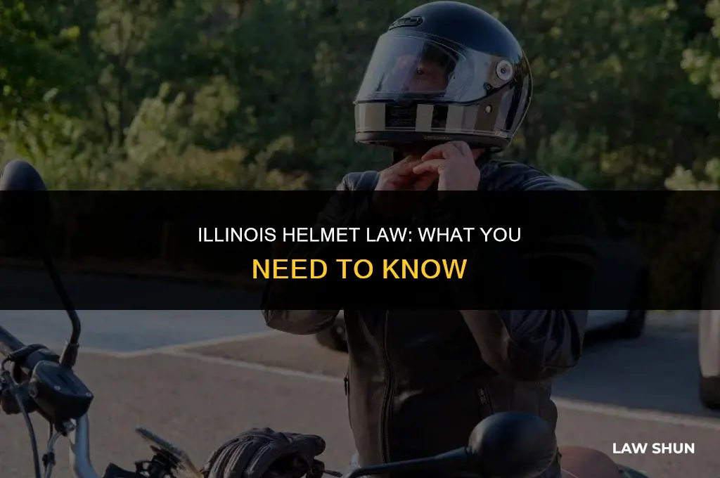 does illinois have a helmet law