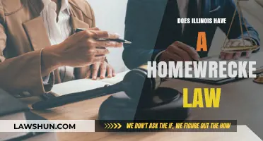 Understanding Illinois' Legal Stance on Homewrecking: Myths and Facts